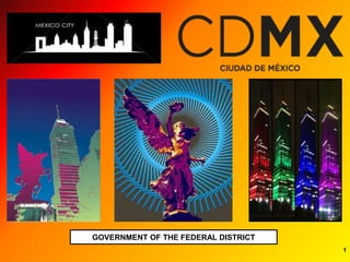 1 
GOVERNMENT OF THE FEDERAL DISTRICT 
 