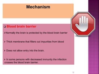 12
Mechanism
 Blood brain barrier
Normally the brain is protected by the blood brain barrier
 Thick membrane that filters out impurities from blood
 Does not allow entry into the brain.
 In some persons with decreased immunity the infection
crosses the blood brain barrier.
 