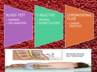 BLOOD TEST
• MARKERS
• INFLAMMATION
C-REACTIVE
• PROTEIN
• BLOOD CULTURES
CEREBROSPINAL
FLUID
• LUMBAR
PUNCTATE
 
