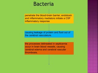 Bacteria
penetrate the blood-brain barrier, endotoxin
and inflammatory mediators initiate a CSF
inflammatory response
causing leakage of protein and fluid out of
the cerebral vasculature.
the processes delineated in septicemia
occur in brain blood vessels, causing
cerebral edema and cerebral vascular
thrombosis.
 