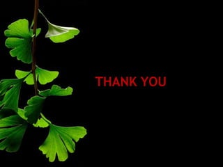 bacterial meningitis