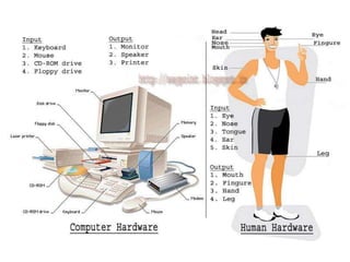 Évolution of the Computer