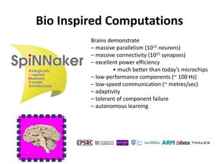 Bio Inspired Computations 
Brains demonstrate 
– massive parallelism (1011 neurons) 
– massive connectivity (1015 synapses) 
– excellent power efficiency 
• much better than today’s microchips 
– low-performance components (~ 100 Hz) 
– low-speed communication (~ metres/sec) 
– adaptivity 
– tolerant of component failure 
– autonomous learning 
 