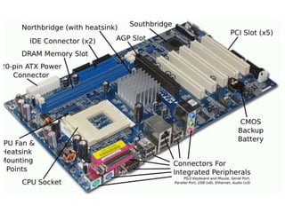 Évolution of the Computer