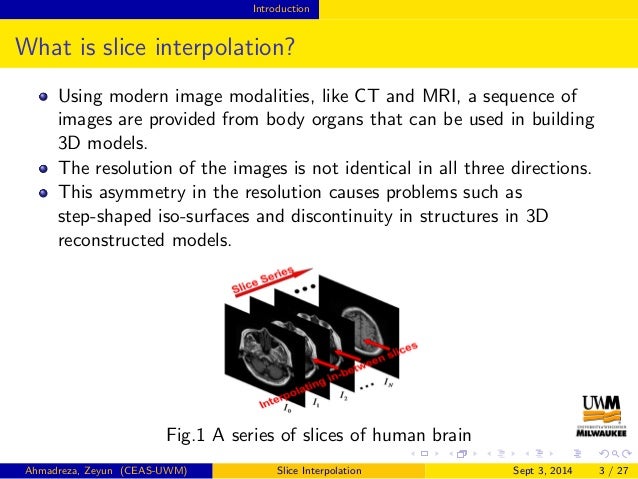 what is slice