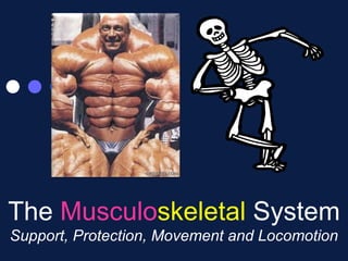 The  Musculo skeletal  System Support, Protection, Movement and Locomotion 