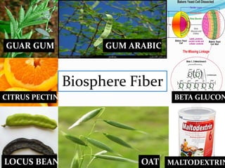Biosphere Fiber
GUAR GUM GUM ARABIC
BETA GLUCON
MALTODEXTRINOATLOCUS BEAN
CITRUS PECTIN
 