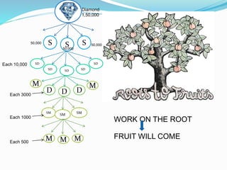 S S S
SM
SM SM
M M M
D D D
MM
SD SD SD
SDSD
Diamond
1,50,000
50,000
50,000
50,000
Each 10,000
Each 3000
Each 1000
Each 500
WORK ON THE ROOT
FRUIT WILL COME
 