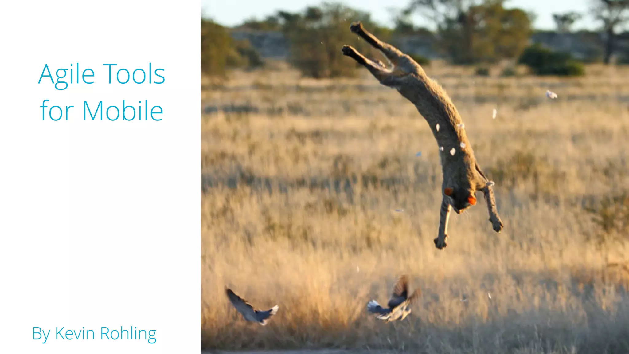 Agile Tools
for Mobile
By Kevin Rohling
 