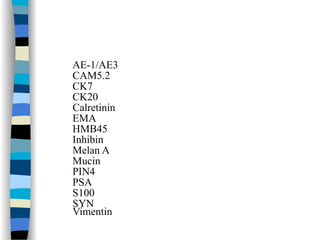 AE-1/AE3
CAM5.2
CK7
CK20
Calretinin
EMA
HMB45
Inhibin
Melan A
Mucin
PIN4
PSA
S100
SYN
Vimentin
 