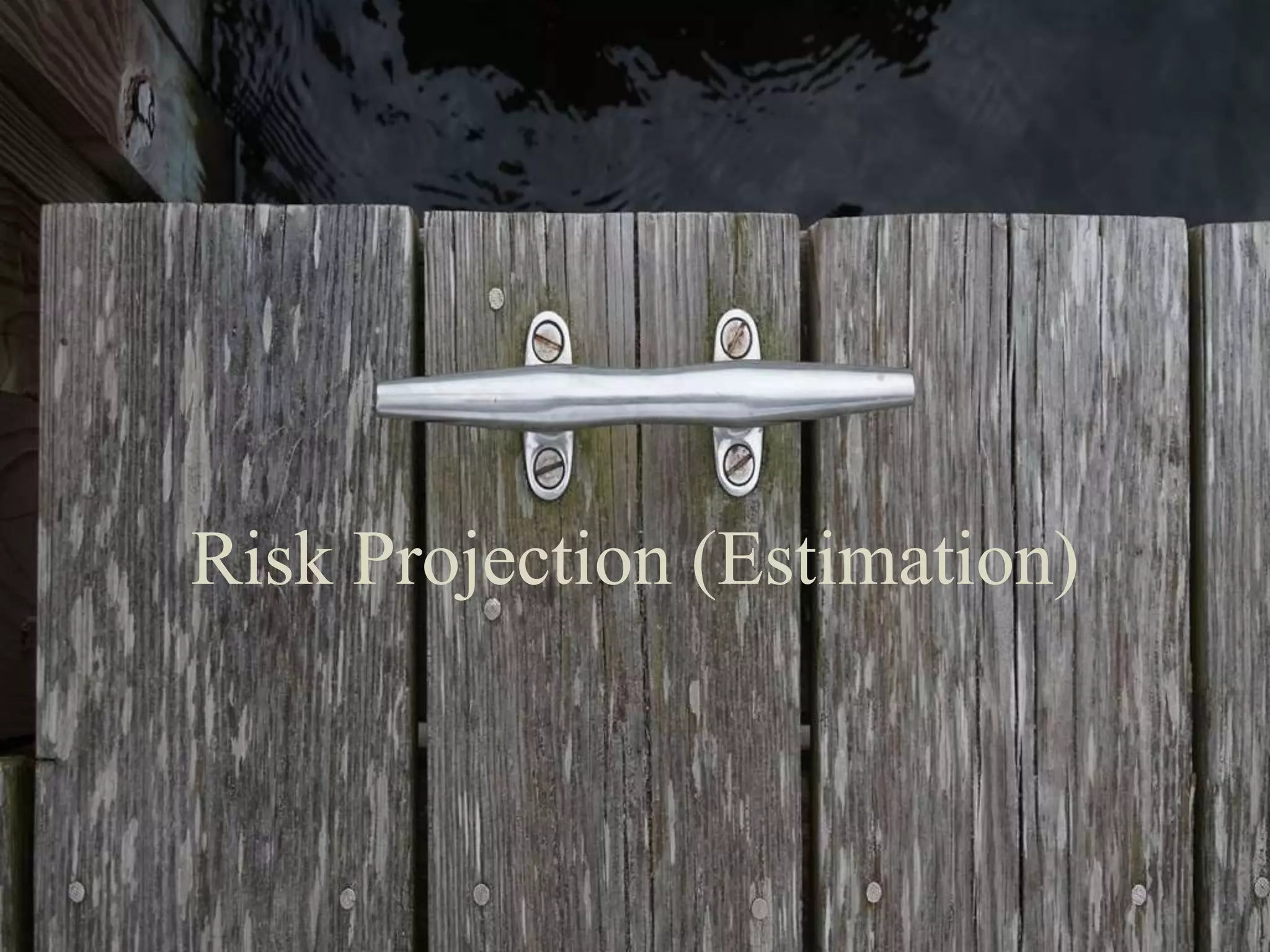 Risk Projection (Estimation).
 