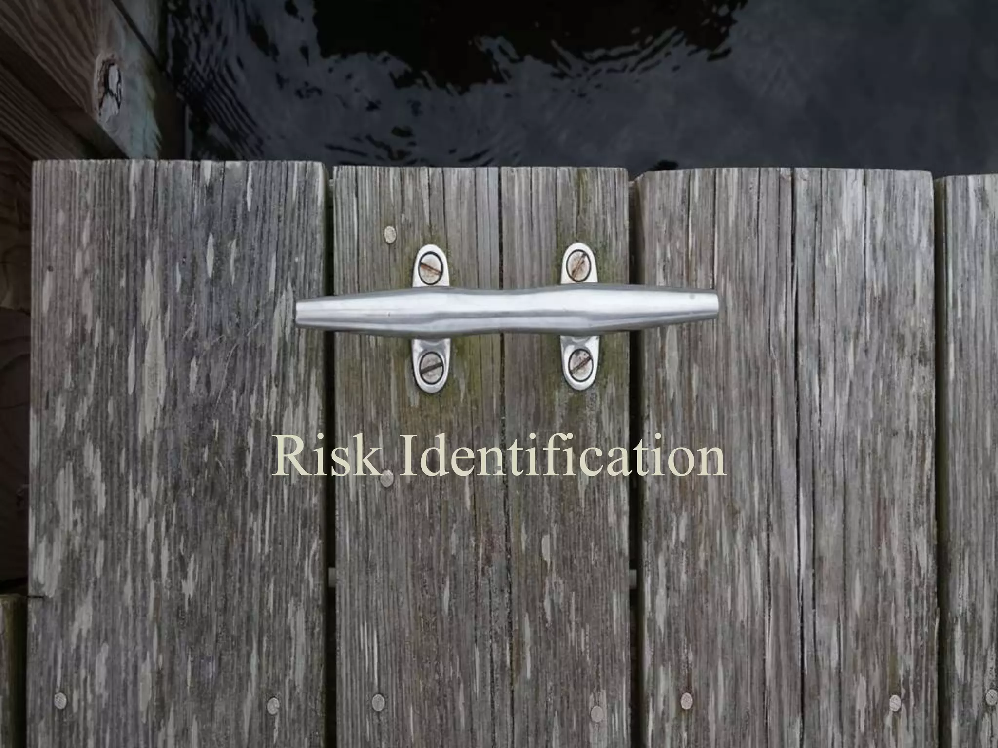 Risk Identification.
 