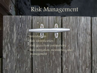 Risk Management
● Introduction
● Risk identification
● Risk projection (estimation)
● Risk mitigation, monitoring, and
management
)
 