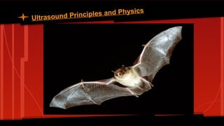Ultrasound Principles and Physics
 