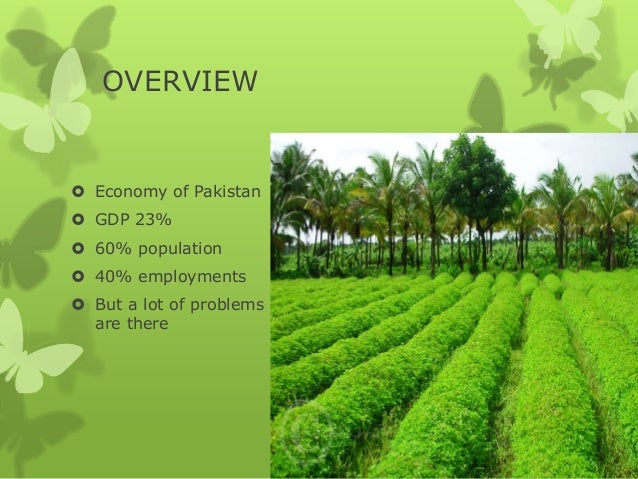 agriculture problems in pakistan Pakistan’s high potential for producing food is an internationally established fact however, agriculture sector in pakistan is facing significant challenges. agriculture problems in pakistan Pakistan’s high potential for producing food is an internationally established fact however, agriculture sector in pakistan is facing significant challenges.