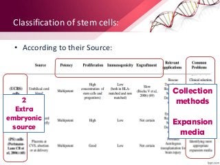Classification of stem cells:
• According to their Source:
2
Extra
embryonic
source
Collection
methods
Expansion
media
 
