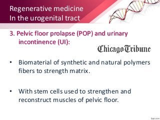 Regenerative medicine
In the urogenital tract
• EnSCs as a promising source of stem cells
(Autologous stem cells).
• In tr...