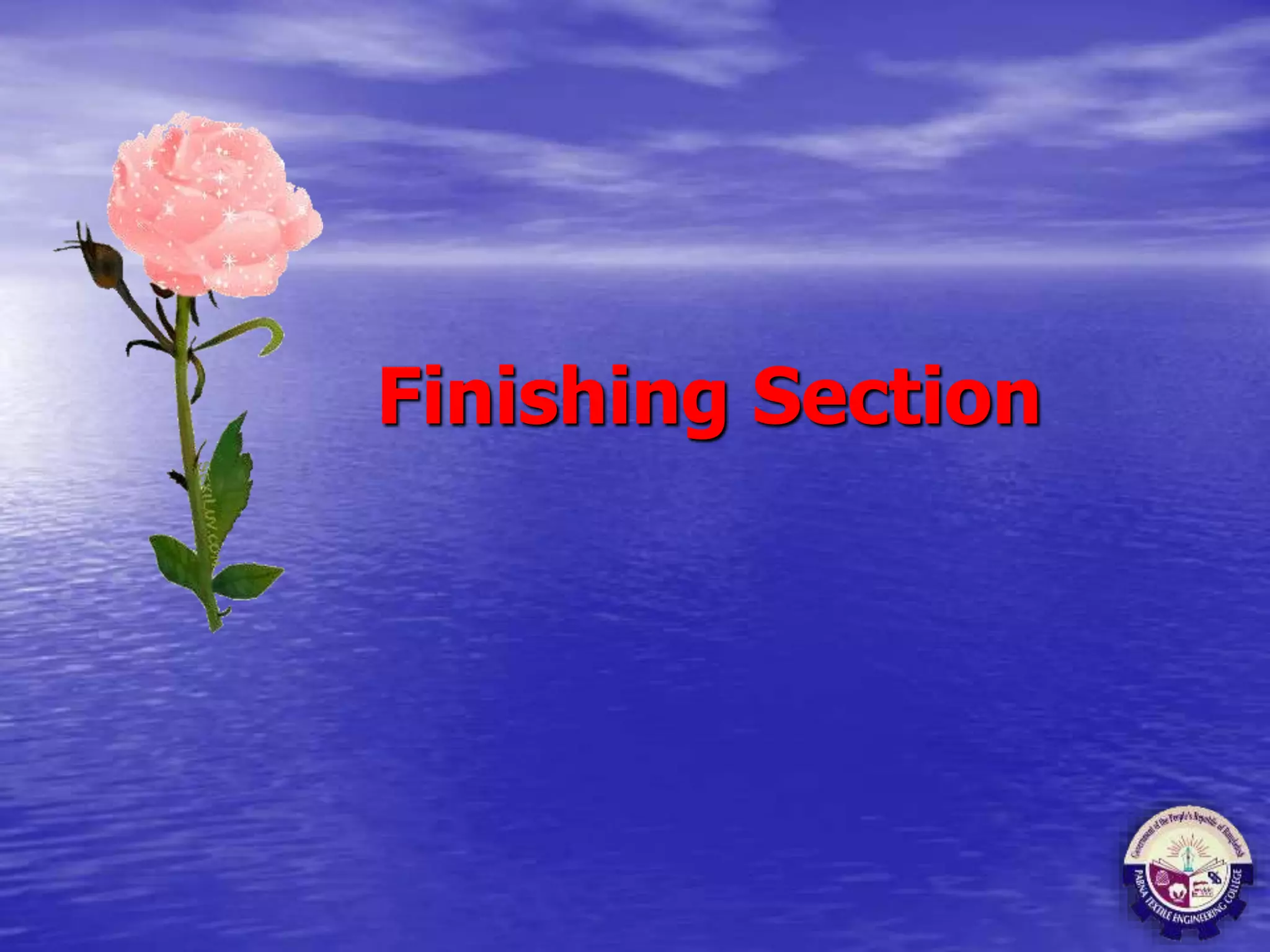 Finishing Section
 