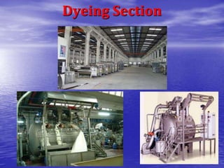 Dyeing Section
 