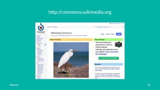 Vorstellung Einführung Medienrecht in der Schule Häuﬁge Fehler OER OER-Quellen Fazit
bpb
Tobias Frischholz CC BY-SA 4.0
Medienrecht und Open Educational Resources (OER)
 