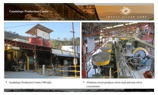 10
Guadalupe Production Centre
• Guadalupe Production Centre (500 tpd) • Flotation circuit produces silver-lead and zinc-silver
concentrates
 