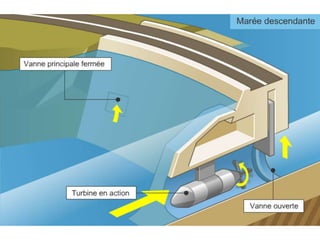 Ocean Energy ( wave enrgy, tidal energy, OTEC | PPTX