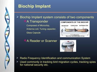 Bio Chip Presentation | PPT