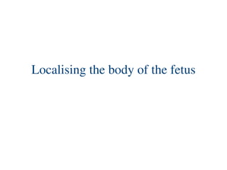 Localising the body of the fetus
 