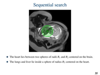 Sequential search
R
3
R
3
The heart lies between two spheres of radii R1 and R2 centered on the brain.
The lungs and liver lie inside a sphere of radius R3 centered on the heart.
R1, R2 and R3 are independent of gestational age thanks to size normalisation.
35
 