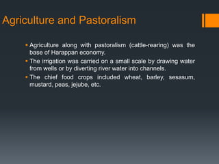 Agriculture and Pastoralism
 Agriculture along with pastoralism (cattle-rearing) was the
base of Harappan economy.
 The irrigation was carried on a small scale by drawing water
from wells or by diverting river water into channels.
 The chief food crops included wheat, barley, sesasum,
mustard, peas, jejube, etc.
 