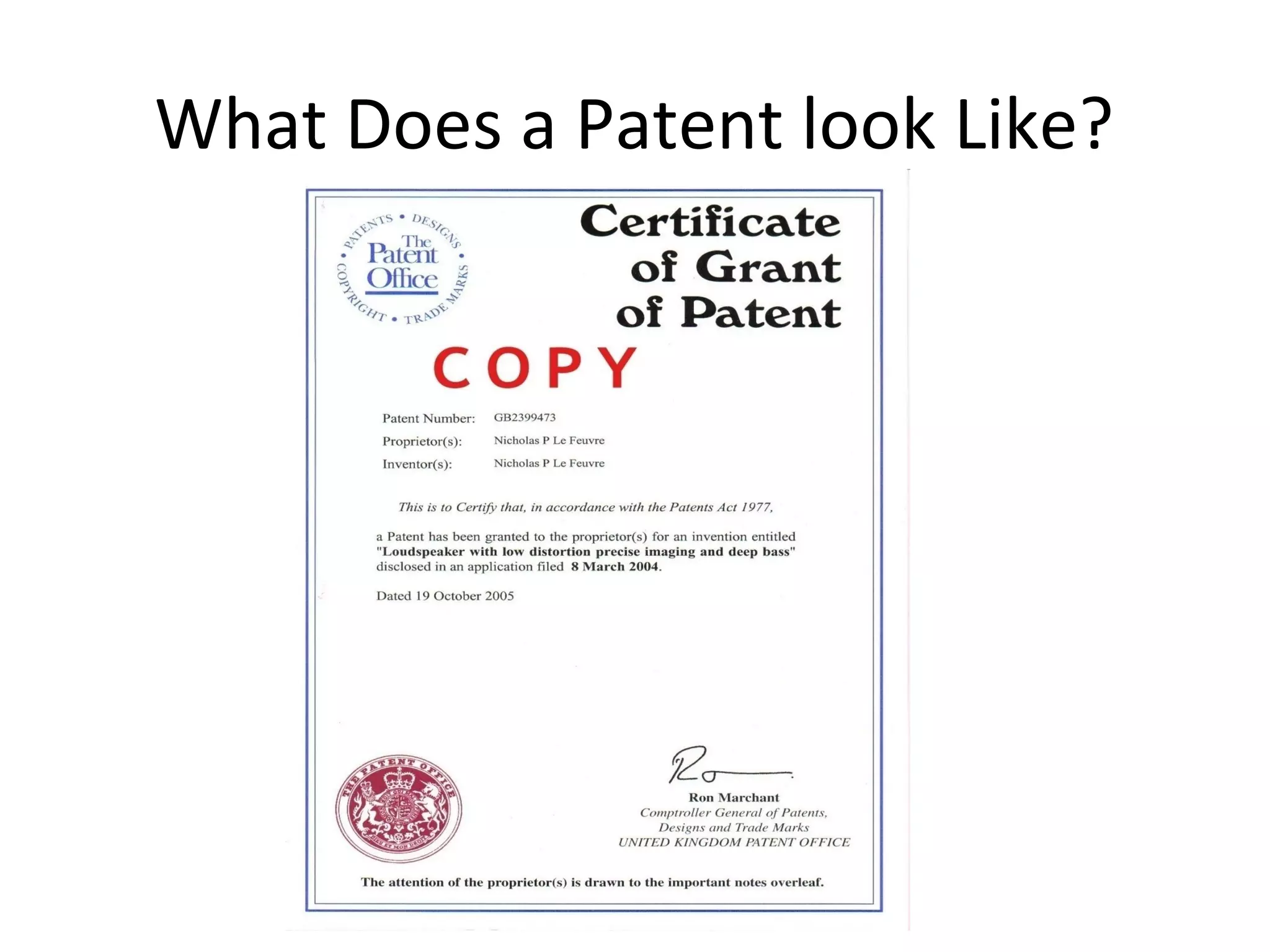 What Does a Patent look Like?
 