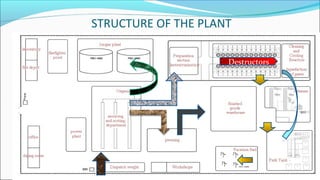 STRUCTURE OF THE PLANT
Destructors
 