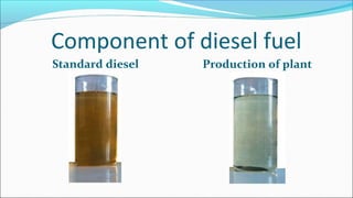 Component of diesel fuel
Standard diesel Production of plant
 