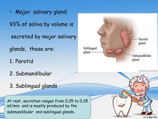 Syalifa saliva | PPT