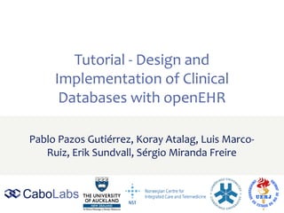 Tutorial - Design and
Implementation of Clinical
Databases with openEHR
Pablo Pazos Gutiérrez, Koray Atalag, Luis Marco-
Ruiz, Erik Sundvall, Sérgio Miranda Freire
 