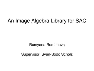    
An Image Algebra Library for SAC
Rumyana Rumenova
Supervisor: Sven­Bodo Scholz
 