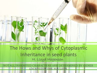 The Hows and Whys of Cytoplasmic
Inheritance in seed plants
H. Lloyd Mogensen
NOT ALL INHERITED CHARACTERS ARE DETERMINED BY GENES
LOCATED IN THE NUCLEUS
 