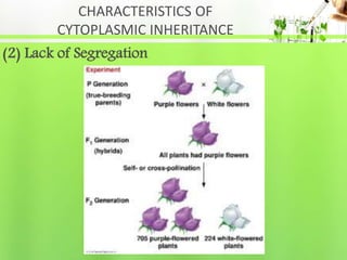 Cytoplasmic Inheritance Types Cytoplasmic Inheritance | PPTX