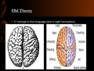 Old Theory
• 1st concept is that language exist in right hemisphere.
 