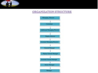 Additional Managing Director
Deputy Director
Managing Director
Consultant
Assistant Managing Director
General Manager
Deputy General Manager
Assistant General Manager
Senior Manager
Manager
 