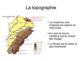 La topographie
➢ Le massif du Jura
s'oppose aux plaines du
nord-ouest
➢Au nord se trouve
l'extrême sud du massif
des Vosges
➢ Le Doubs est la rivière la
plus importante
 