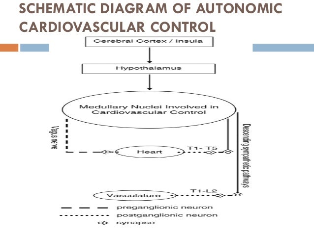 Orthostatic Hypotension In Patients With Spinal Cord Injury A Case Pr