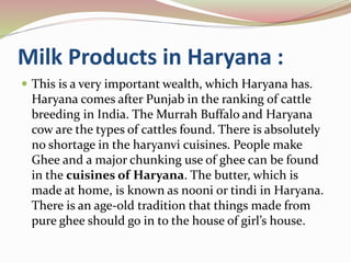 Milk Products in Haryana :
 This is a very important wealth, which Haryana has.
Haryana comes after Punjab in the ranking of cattle
breeding in India. The Murrah Buffalo and Haryana
cow are the types of cattles found. There is absolutely
no shortage in the haryanvi cuisines. People make
Ghee and a major chunking use of ghee can be found
in the cuisines of Haryana. The butter, which is
made at home, is known as nooni or tindi in Haryana.
There is an age-old tradition that things made from
pure ghee should go in to the house of girl’s house.
 