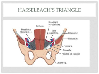 HASSELBACH’S TRIANGLE
 