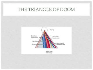 THE TRIANGLE OF DOOM
 