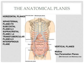 THE ANATOMICAL PLANES
HORIZONTAL PLANES
XIPHISTERNAL
PLANE=T9
SUBCOSTAL
PLANE=L3
SUPRACRISTAL
PLANE= L4
TRANSTUBERCULAR
PLANE=L5
INTERSPINOUS
PLANE
VERTICAL PLANES
Midline
Two Paramedian Planes
(Mid Clavicular Line/ Mammary Line)
 