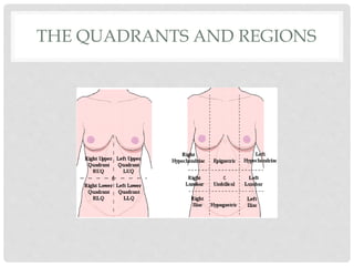 THE QUADRANTS AND REGIONS
 