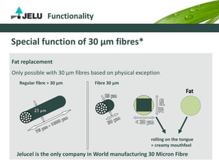 rolling on the tongue
= creamy mouthfeel
Functionality
Special function of 30 µm fibres*
Fat replacement
Only possible with 30 µm fibres based on physical exception
Regular fibre > 30 µm Fibre 30 µm
Jelucel is the only company in World manufacturing 30 Micron Fibre
 