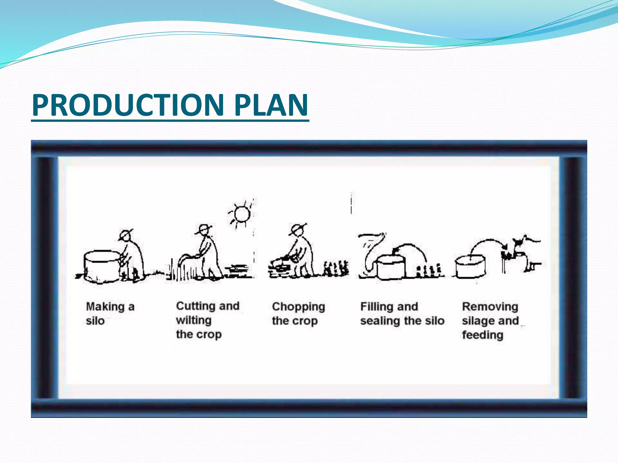 PRODUCTION PLAN
 