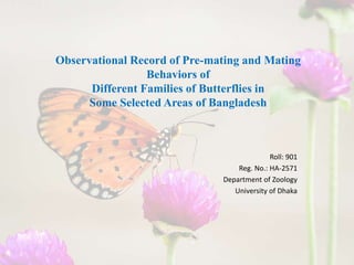 Observational Record of Pre-mating and Mating
Behaviors of
Different Families of Butterflies in
Some Selected Areas of Bangladesh
Roll: 901
Reg. No.: HA-2571
Department of Zoology
University of Dhaka
 